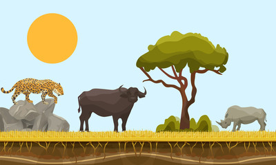 Savannah animals in Africa vector landscape with baobab and under earth surface layer, bull, gepard and rhino. Savannah animals illustration. Wildlife of Africa. © creativeteam