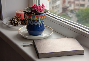 flower violet in a pot, a carafe with water and a diary for planning the day on the windowsill
