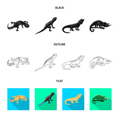 Isolated object of tail and fauna icon. Set of tail and environment vector icon for stock.