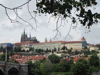 Prague Castle below the Linden Leaves in Prague, the Czech Republic