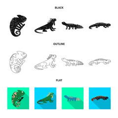 Vector illustration of tail and fauna sign. Set of tail and environment vector icon for stock.