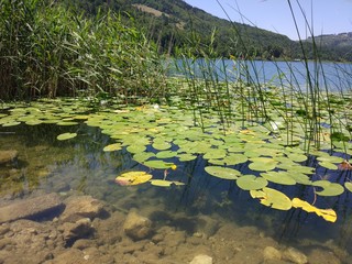 Lake in the mountains