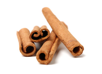Cinnamon on a white background