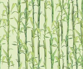 Seamless pattern. Bamboo thicket