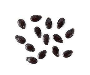 watermelon seeds isolated on white background. top view