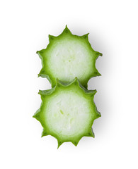 Angled loofah  slice isolate on a white background. top view