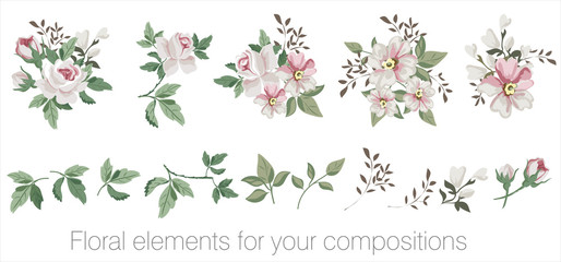 Vector floral set with leaves and flowers. Elements for your compositions, greeting cards or wedding invitations