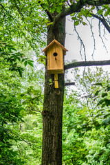 concept of nature protection, handmade birdhouse for birds hanging on the tree