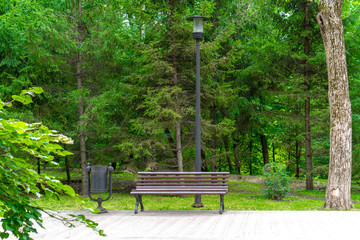 Green city park. Wooden bench park tourist promenade green tree grass summer day.