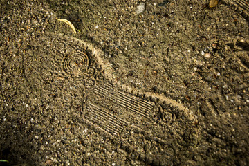 Sneaker footprint in the sand