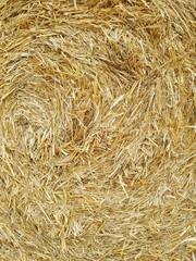 Nahaufnahme von Stroh als Bildhintergrund