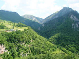 Fototapeta premium Panorama of sunny blue sky over mountain tops covered with dense green forest.