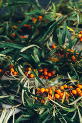Sea buckthorn berries on a branch with leaves on sackcloth rag over dark green concrete background.