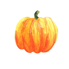 watercolor pumpkin illustration on white background. Autumn harvest, for the holiday Halloween.