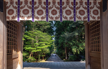 新潟 弥彦神社 随神門