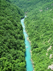 View from the bridge at the steep flow of the blue mountain river surrounded by endless mountain jungle under the rays of the summer sun.