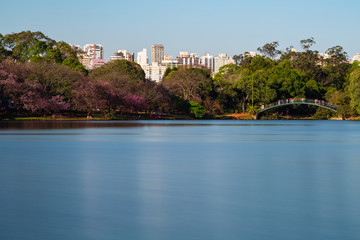 Fototapeta na wymiar Ponte de Ferro no Parque Ibirapuera em São Paulo, Brasil