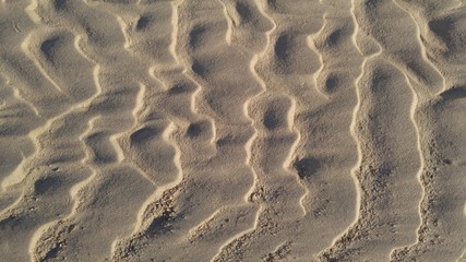 nature pattern