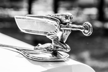 hood ornament