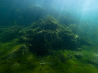 underwater, lake, relief, rocks 