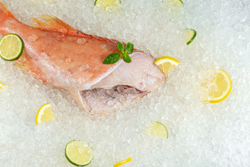 fresh sea ocean red perch fish, lying on ice, headless, cherry, sliced lemon and lime sliced round,...