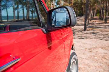 red car in forest with green trees in sunny day