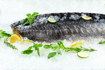 fresh sea ocean sturgeon fish, lies on ice, without and with a head, cherry, slices of lemon and...