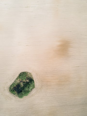 Island of green grass, among the plowed fields