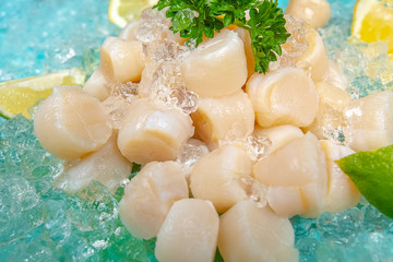 crab meat and body parts, tentacles, knee cubes, blue marine background on ice, slices of lemon and...