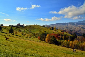 a mountain slope with autumn trees