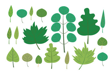 Green leaves set. Vector flat illustration isolated on the white background.