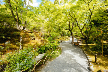 Fototapeta premium Tenryu-ji Garden and Temple Kyoto Japan