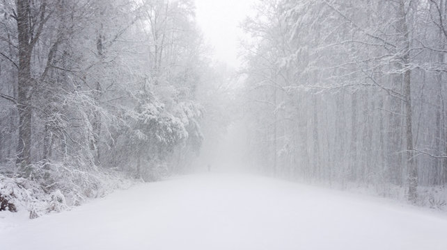 a hiker disappears into the snow near umstead state park north carolina during a bitter winter blizzard, january 2018