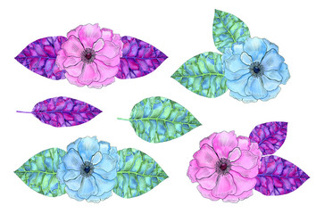 Watercolor blue, green and pink floral set. Flowers and leaves isolated on white background. Hand painted illustration. 