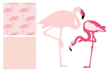 Pink Pelican and seamless patterns in gentle pastel colors, in vector