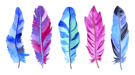 Watercolor purple, blue, green feathers set  isolated on white background. Hand painted illustration.