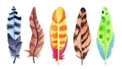 Watercolor brown, yellow, blue, green feathers set  isolated on white background. Hand painted illustration.