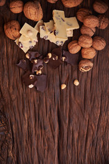 Nuts and milk and dark chocolate pieces on wooden background
