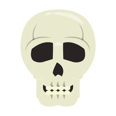 skull dead human anatomy cartoon