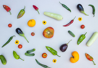 Vegetables: tomato, pepper, zucchini, eggplant, cucumber close-up on a white background.