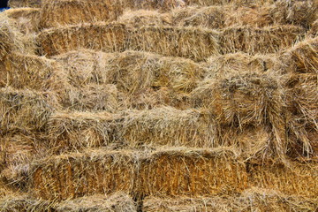straw and hay background