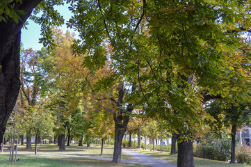 Naklejka premium Beauty of Kalemegdan park in Belgrade Serbia.
