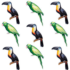 Parrot bird water color art illustration