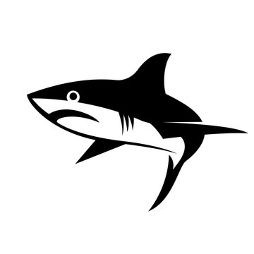 Side view swimming up shark logo design inspiration