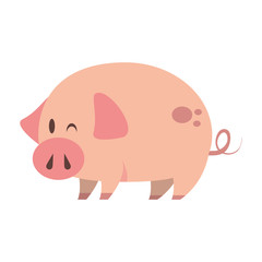 cute animal pig farm cartoon