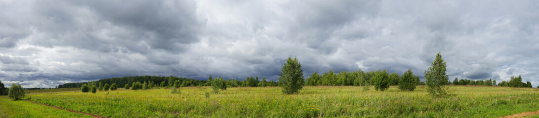 Obraz premium field of green grass and blue sky. Panorama. 