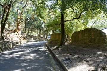 奈良公園 浮見堂