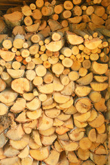 Stacks of Firewood. Preparation of firewood for the winter. Pile of Firewood.