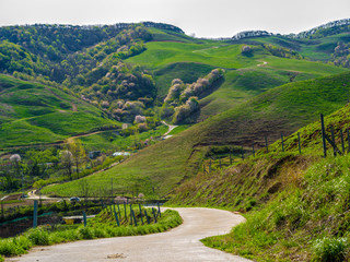 서산목장. 길. 봄. 풍경 . 서산시. 길. 목장. 초지. 초원. 아침풍경.