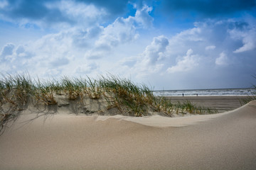 Fototapeta na wymiar Sand dunes on northern sea in netherlands